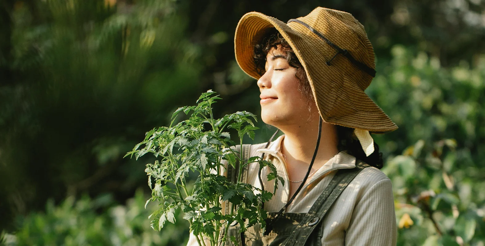 Accompagnement stratégique pour une introduction réussie sur le marché.