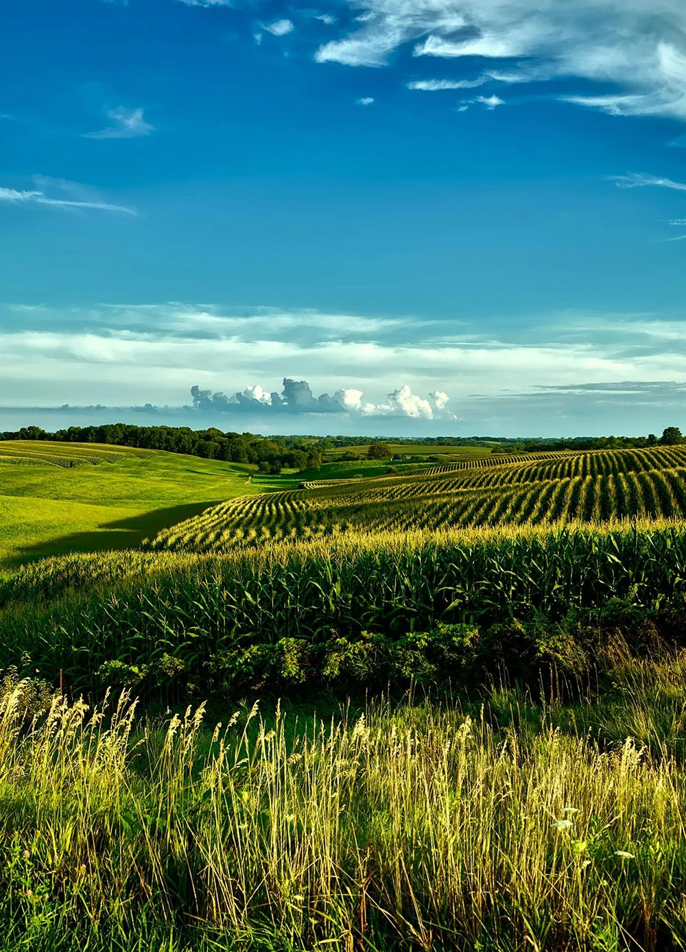 Accompagnement dans la mise en place juridique et organisationnelle.