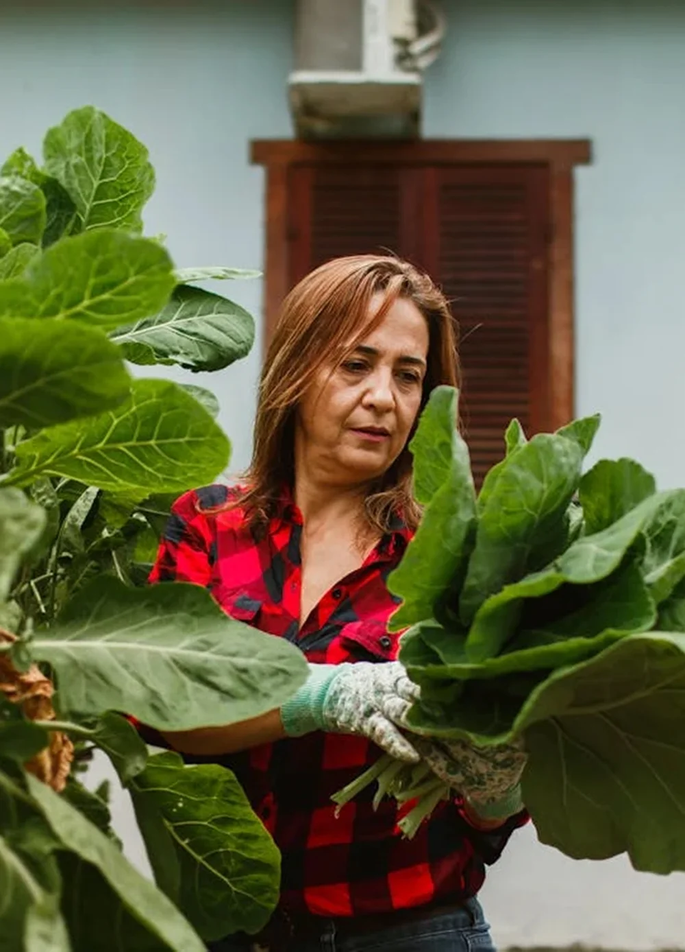 Mise en place d’indicateurs et outils pour suivre et améliorer les résultats.