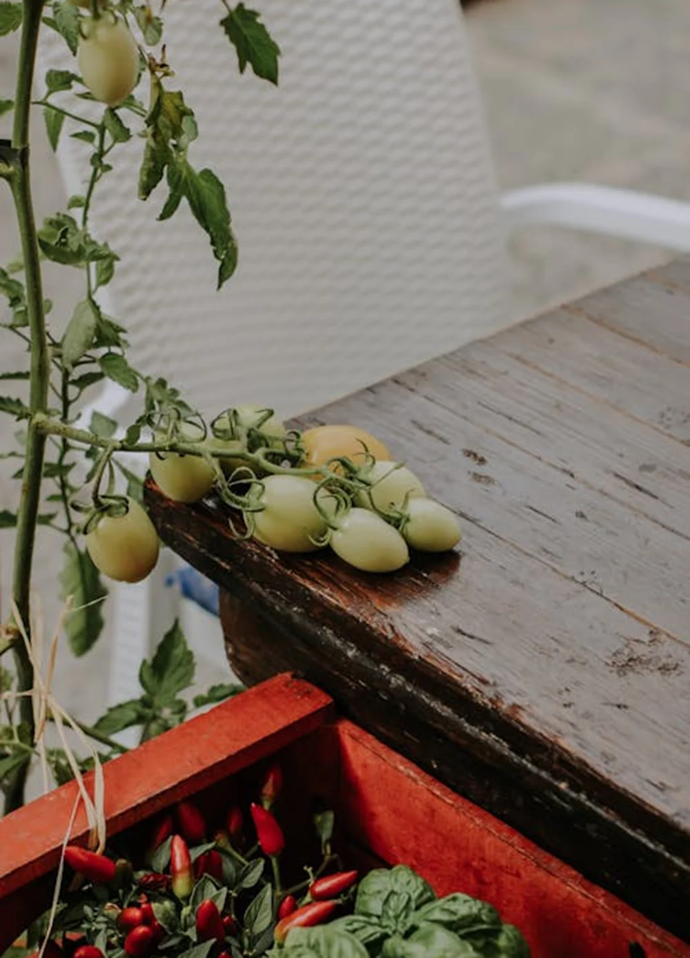 Analyse des opportunités et compréhension des besoins du marché.