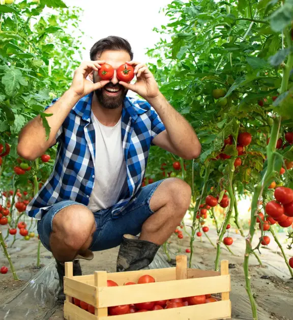 We grow fresh, organic produce using clean methods that protect nature, healthy food.