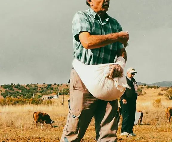 Analyse de la faisabilité et structuration des idées de business.